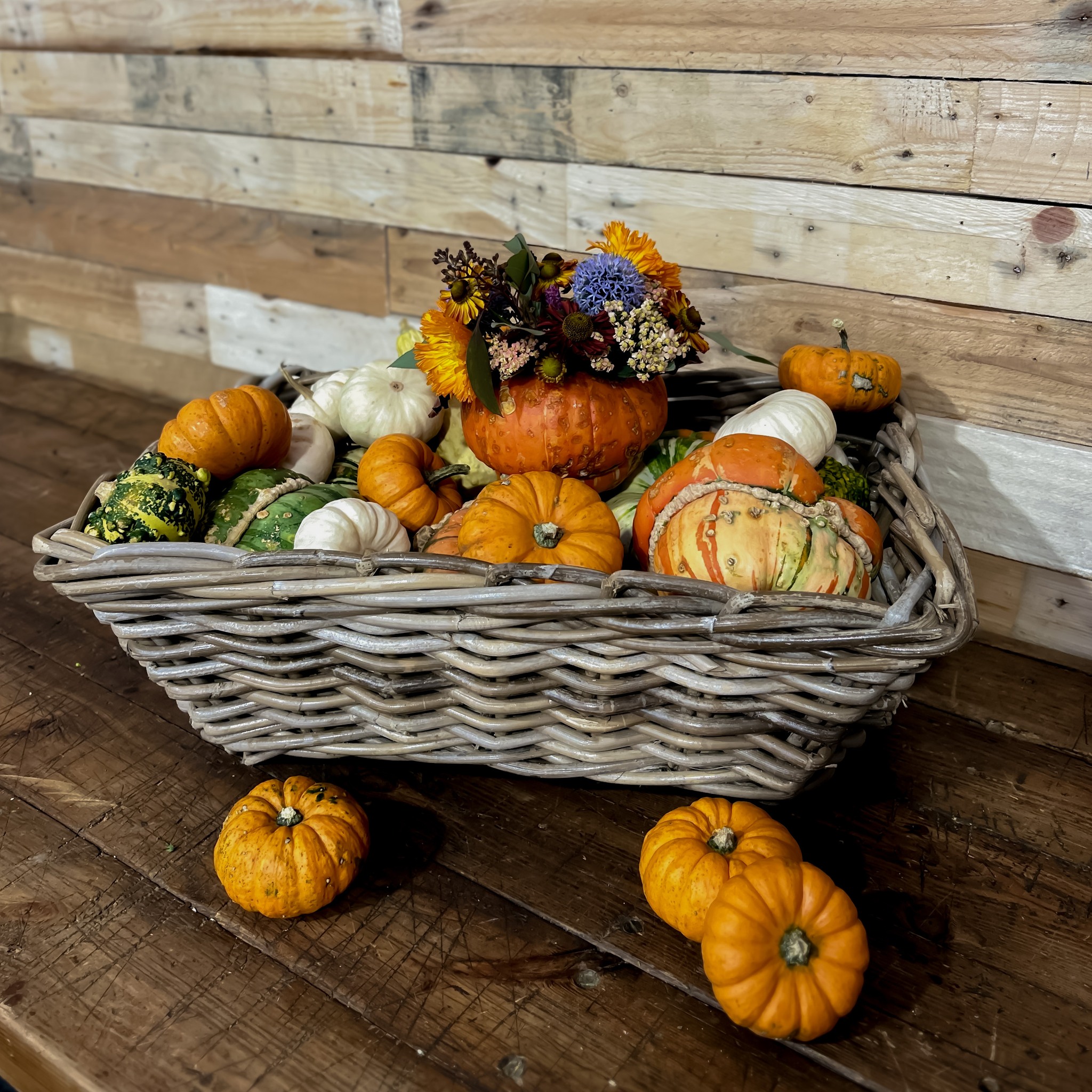 half-term-children-s-floral-pumpkin-workshops-spotted-in-ely