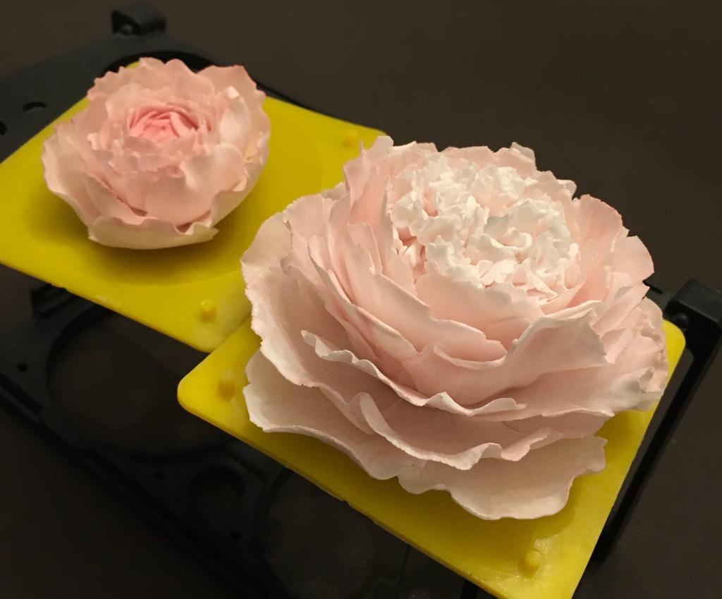 Ely House of Sugarcraft